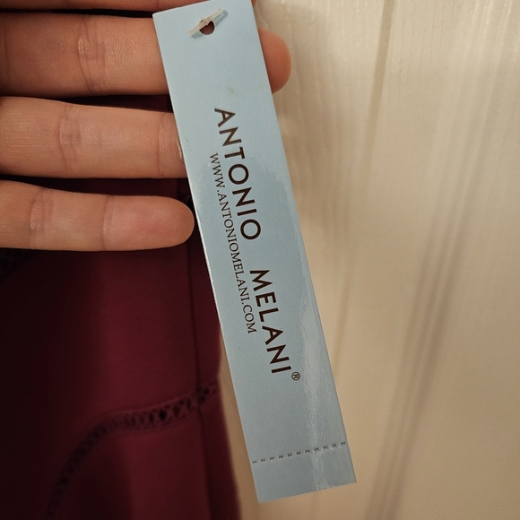 Antonio Melani Kate Cherry Jubilee Sleeveless A-line Midi Dress - Picture 4 of 7